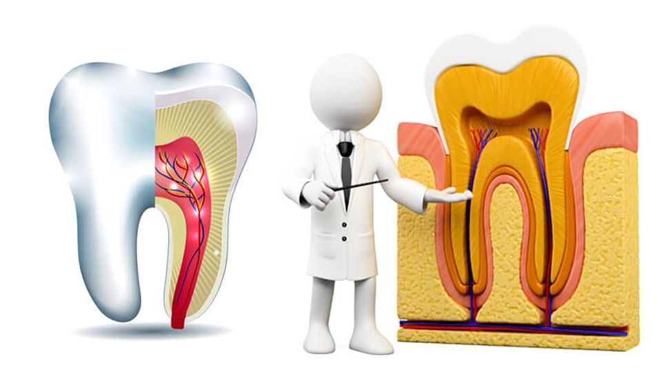 Endodontist for emergency root canal treatment in London